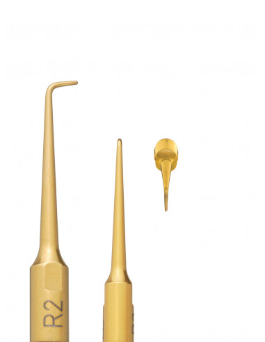 Inserto R2 Nitro Oro Mectron 03310002 - INCOTRADING