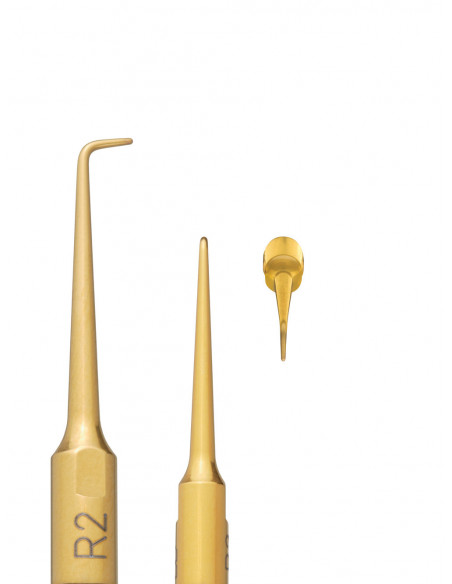Inserto R2 Nitro Oro Mectron 03310002 - INCOTRADING