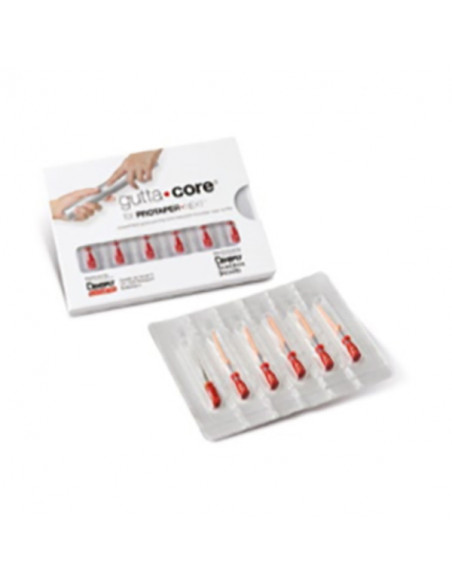 Guttacore Rosa Blister P/Protaper Next  6U. - MAILLEFER