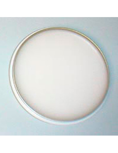 Cera Presentacion Blanca Tarrina 50G. - REUS