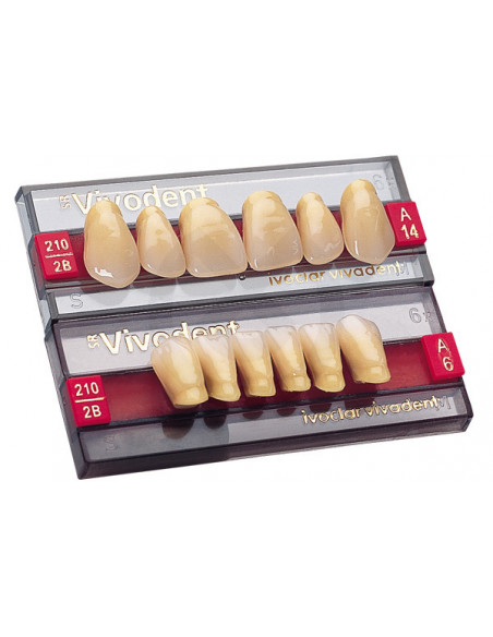 SR VIVODENT CHROMASCOP dientes anterior superior
