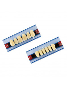 Dientes ARTIC anteriores inferiores - KULZER