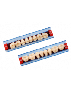 Dientes ARTIC posteriores superiores - KULZER