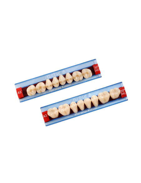 Dientes ARTIC posteriores superiores - KULZER