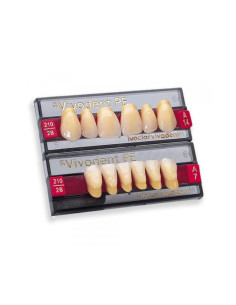 Dientes sr vivodent chromascop anteriores superiores - IVOCLAR
