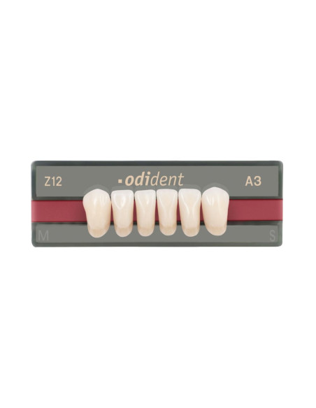 Dientes Odident anteriores inferiores - UNIDESA DENTAL