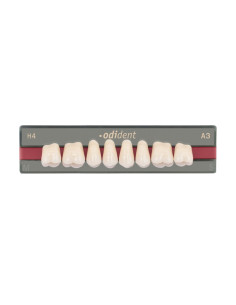 Dientes Odident posteriores superiores - UNIDESA DENTAL