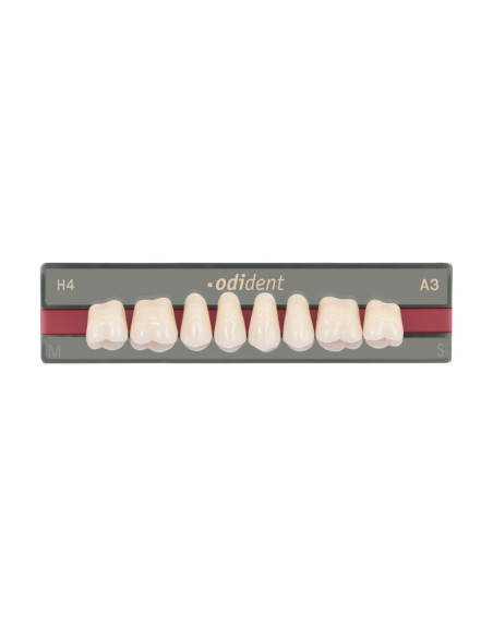 Dientes Odident posteriores superiores - UNIDESA DENTAL