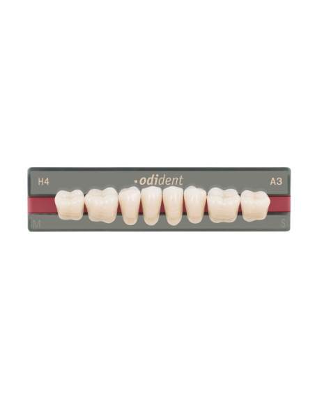 Dientes Odident posteriores inferiores - UNIDESA DENTAL