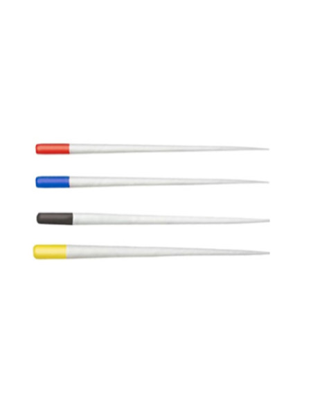 Protaper next: Puntas de papel