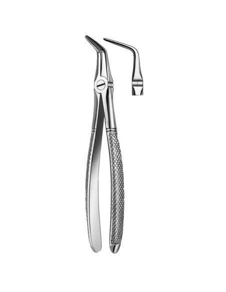 Pulidor dental 145 Forceps Raices Inferiores para Esterilización - Carl Martin