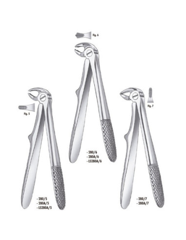 Forceps 280 5 For klein Niño Incis inf - Carl Martin