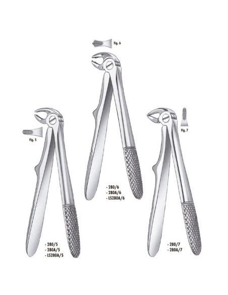 Forceps 280 5 For klein Niño Incis inf - Carl Martin