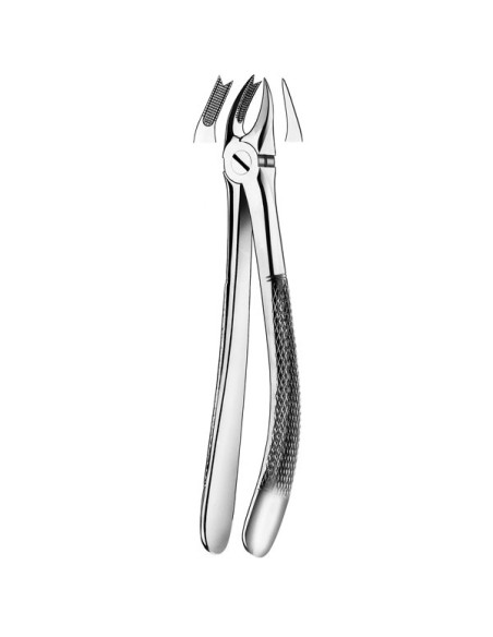 Pulidor dental 89 Forceps Molar Superior Dcha para Esterilización - Carl Martin