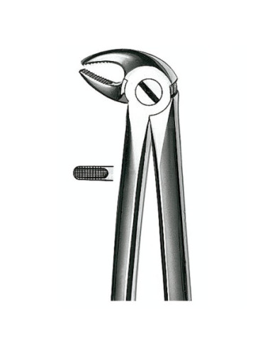 E13 Forceps N 13 Premolar Inf - Carl Martin