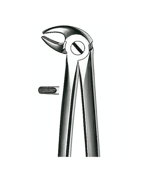 E13 Forceps N 13 Premolar Inf - Carl Martin