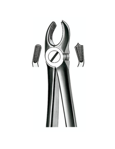E17 Forceps N 17 Molar Sup dcho - Carl Martin