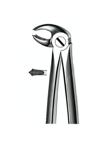 E22 Forceps N 22 Molar Inf - Carl Martin