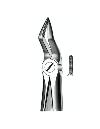 E51A Forceps N 51a Raices Sup - Carl Martin