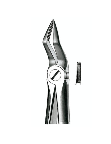 E51A Forceps N 51a Raices Sup - Carl Martin