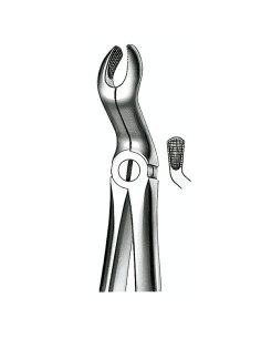 Instrumental dental E67A Forceps N 67a Cordal Sup - Carl Martin