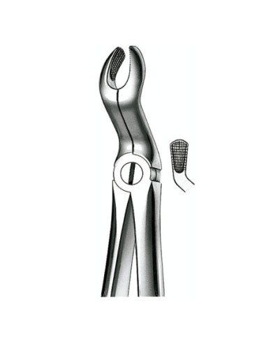 Instrumental dental E67A Forceps N 67a Cordal Sup - Carl Martin