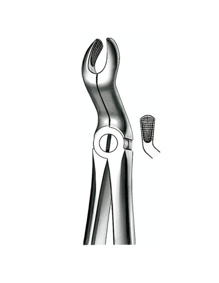 Instrumental dental E67A Forceps N 67a Cordal Sup - Carl Martin
