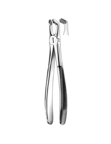 Pulidor dental E79 Forceps N 79 Cordal Inf para Esterilización - Carl Martin