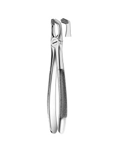 Pulidor dental M2079 Forcesp Cordales Inf para Esterilización - Carl Martin