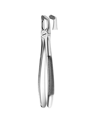 Pulidor dental M2079 Forcesp Cordales Inf para Esterilización - Carl Martin
