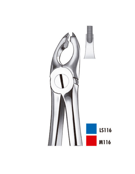 Pulidor dental M116 Forceps Premolares Sup para Esterilización - Carl Martin