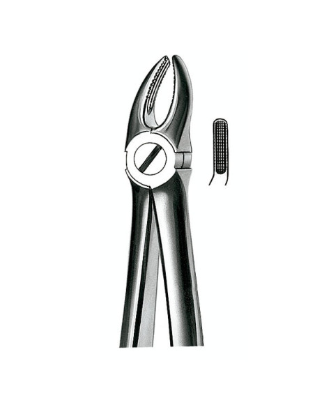 E7 Forceps N 7 Premolar Sup - Carl Martin