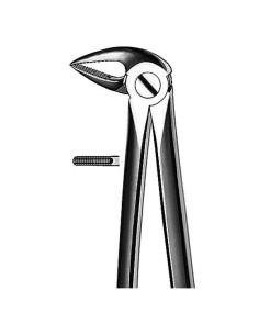 E33A Forceps Raices Inferiores - Carl Martin