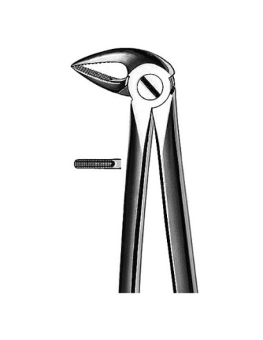 E33A Forceps Raices Inferiores - Carl Martin