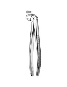 Pulidor dental 22 Forceps Molar Inferior para Esterilización - Carl Martin
