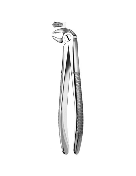 Pulidor dental 22 Forceps Molar Inferior para Esterilización - Carl Martin