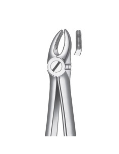 Pulidor dental 7 Forceps Premolar Superior para Esterilización - Carl Martin