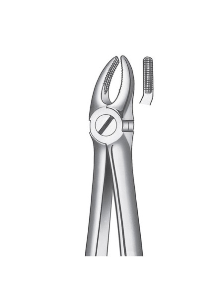 Pulidor dental 7 Forceps Premolar Superior para Esterilización - Carl Martin