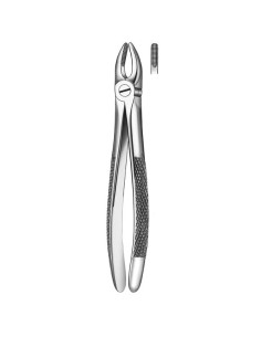 Pulidor dental 1 Forceps Incisivo canino Sup para Esterilización - Carl Martin