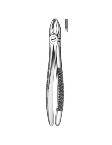 Pulidor dental 1 Forceps Incisivo canino Sup para Esterilización - Carl Martin