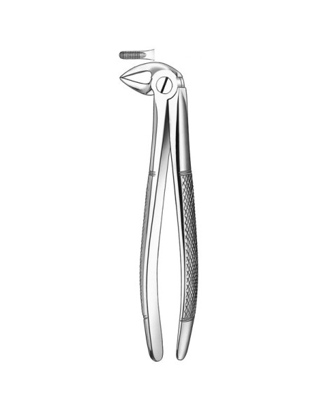 Pulidor dental 33 Forceps Raices Inferiores para Esterilización - Carl Martin