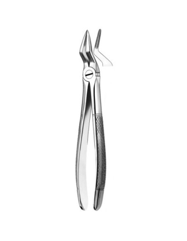 Pulidor dental 51a Forceps Raices Superiores para Esterilización - Carl Martin