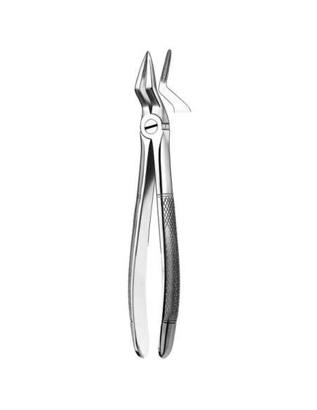 Pulidor dental 51a Forceps Raices Superiores para Esterilización - Carl Martin
