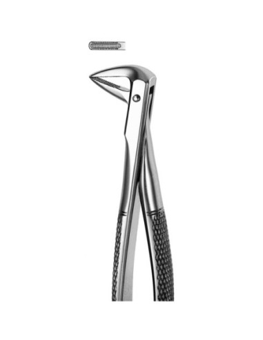 Pulidor dental M74 Forceps Raices Inferiores para Esterilización - Carl Martin