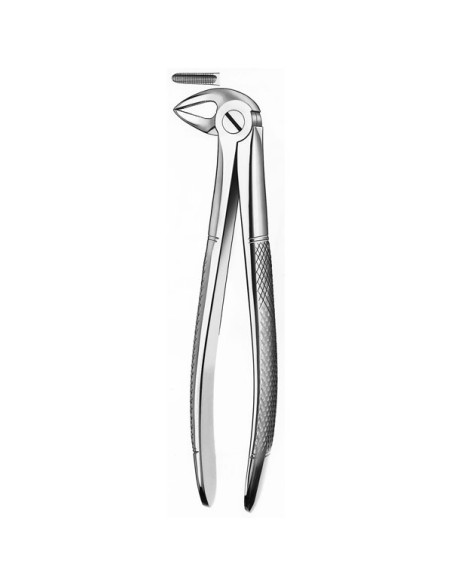 Pulidor dental 33a Forceps Raices Inferiores para Esterilización - Carl Martin