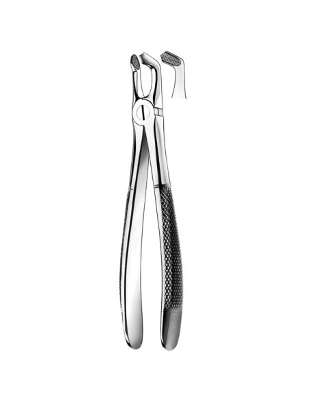 Pulidor dental 79 Forceps Cordales Inferiores para Esterilización - Carl Martin