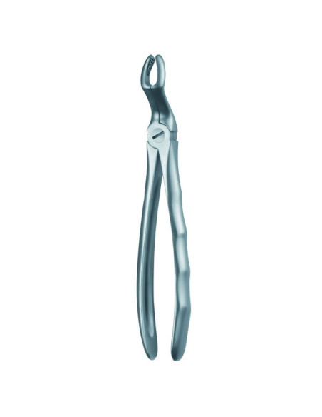 Pulidor dental 67a Forceps Cordal Superior para Esterilización - Carl Martin
