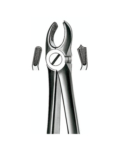 Pulidor dental 17 Forceps Molar Sup Derecho para Esterilización - Carl Martin