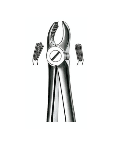 Pulidor dental 18 Forceps Molar Sup Izquierd para Esterilización - Carl Martin