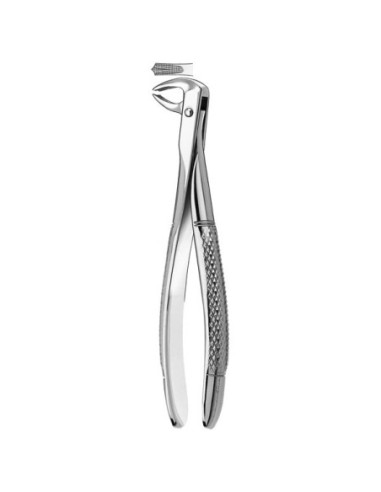 73k Forceps Niños Molar Mandib - Carl Martin